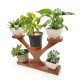 Suporte para plantas de madeira envernizado cabe 5 plantas