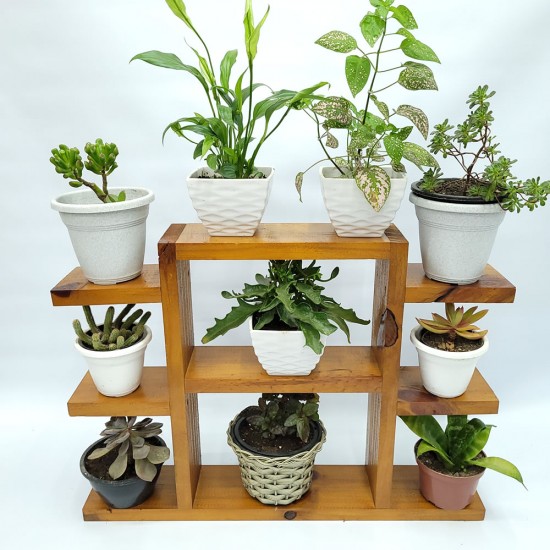 Mini estante para plantas envernizado cor imbuia cabe various vasos