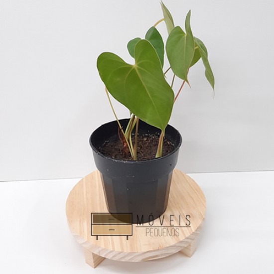 Suporte redondo para Plantas na cor natural